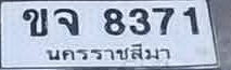 ภาพทะเบียน ขจ 8371 นครราชสีมา