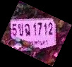 ภาพทะเบียน 5ขฉ 1712 กรุงเทพมหานคร
