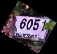 ภาพทะเบียน ชฎ6051 กรุงเทพมหานคร