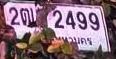 ภาพทะเบียน 2ฒว 2499 กรุงเทพมหานคร