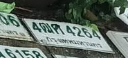 ภาพทะเบียน 4ฒศ 4264 กรุงเทพมหานคร
