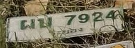 ภาพทะเบียน ผน 7924 ระยอง